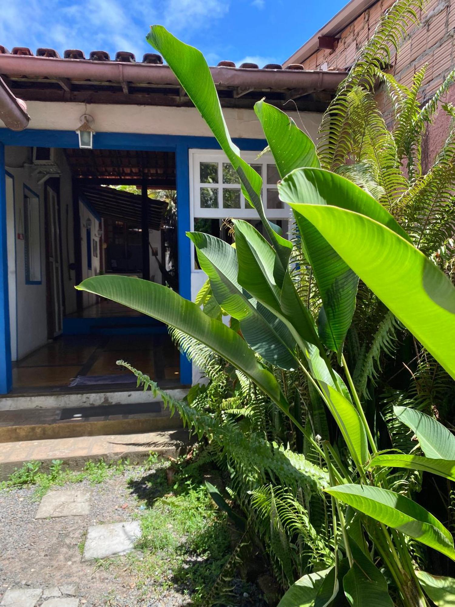 Tropicalia Hostel E Pousada Itacaré Extérieur photo